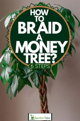 how to braid a money tree: exploring the art of financial planning