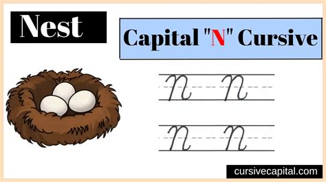 How to Write a Capital N in Cursive and Explore its Literary Potential